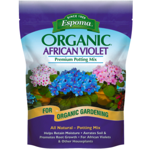 African Violet Mix