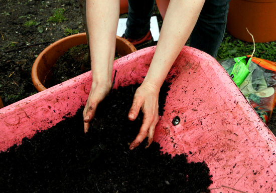 soil test before planting