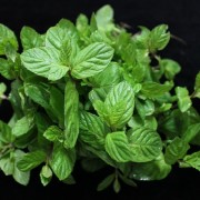Container gardening