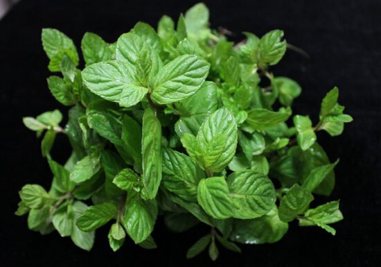 Container gardening