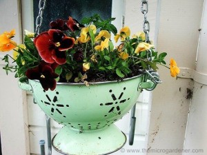 Colander-planter_wm