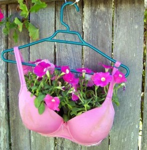 bra-planter