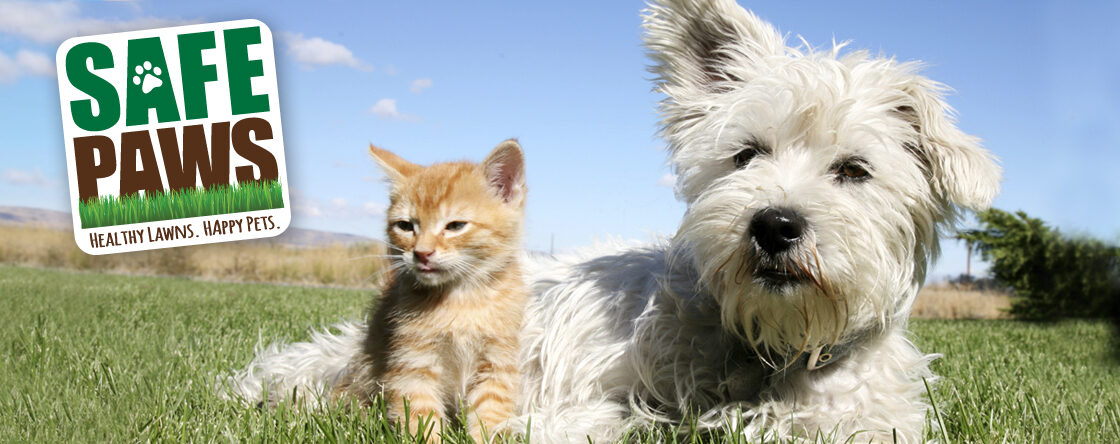 Safe Paws