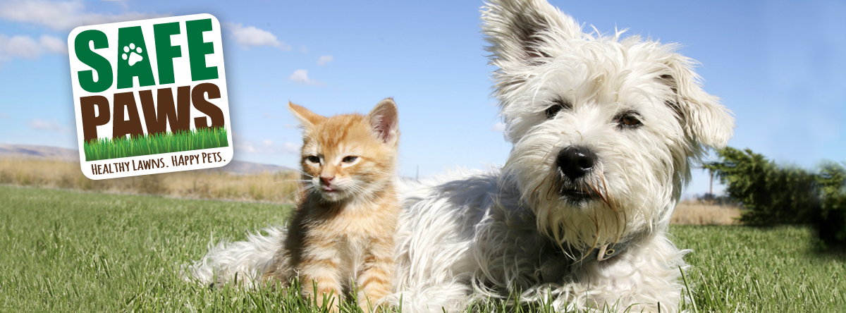 Summer Pet Safety Tips Espoma Keep Your Pet Safe During Hot Summer Days