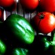 how to grow tomatoes and peppers