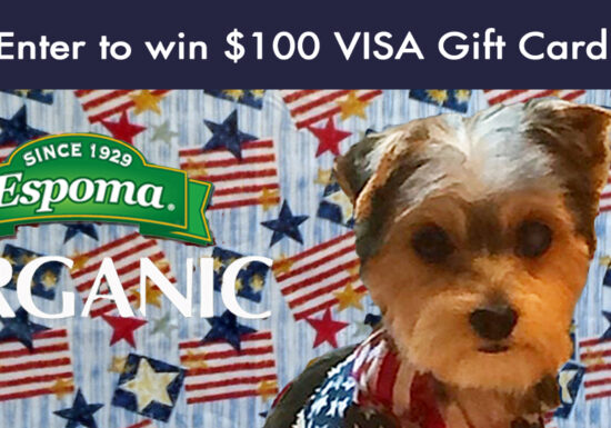 Patriotic Pet Contest