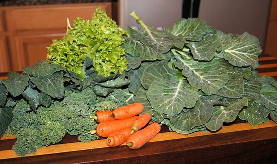 fall veggies