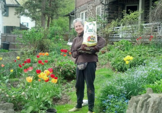 Organic potting soil