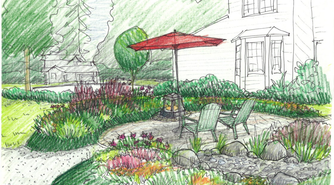 garden sketch