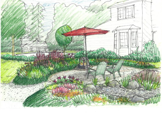 garden sketch