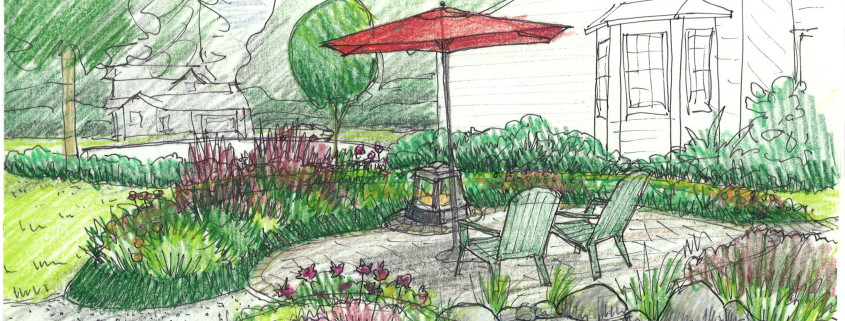 garden sketch