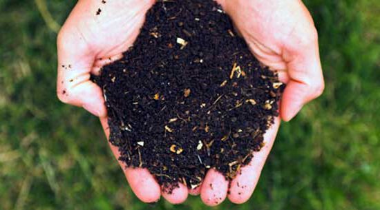 Espoma organic compost