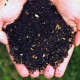 Espoma organic compost