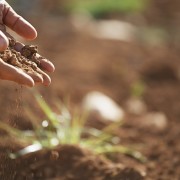 good garden soil
