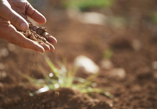 good garden soil