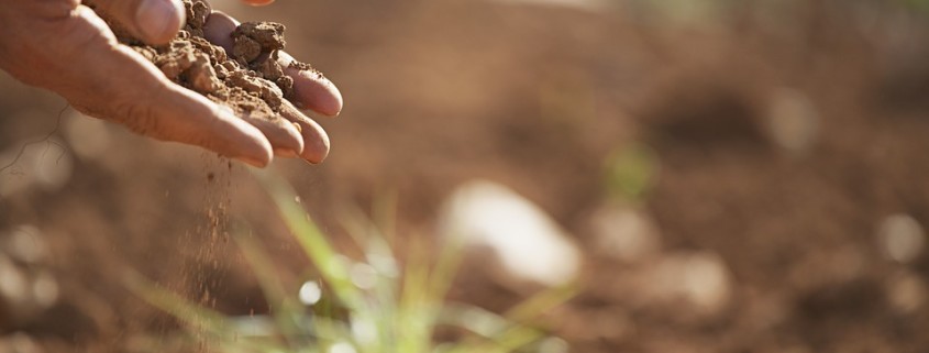 good garden soil