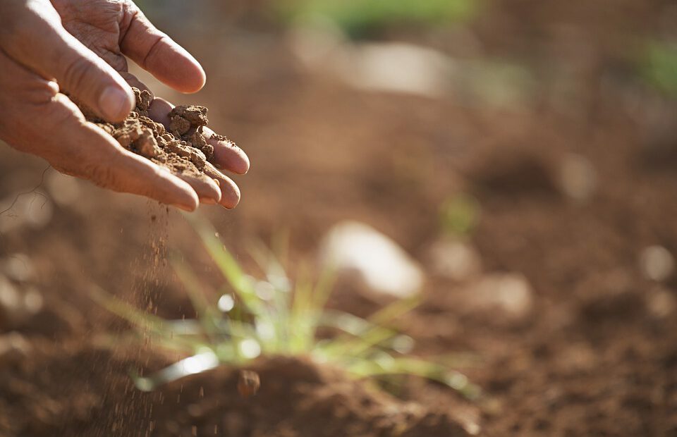 good garden soil