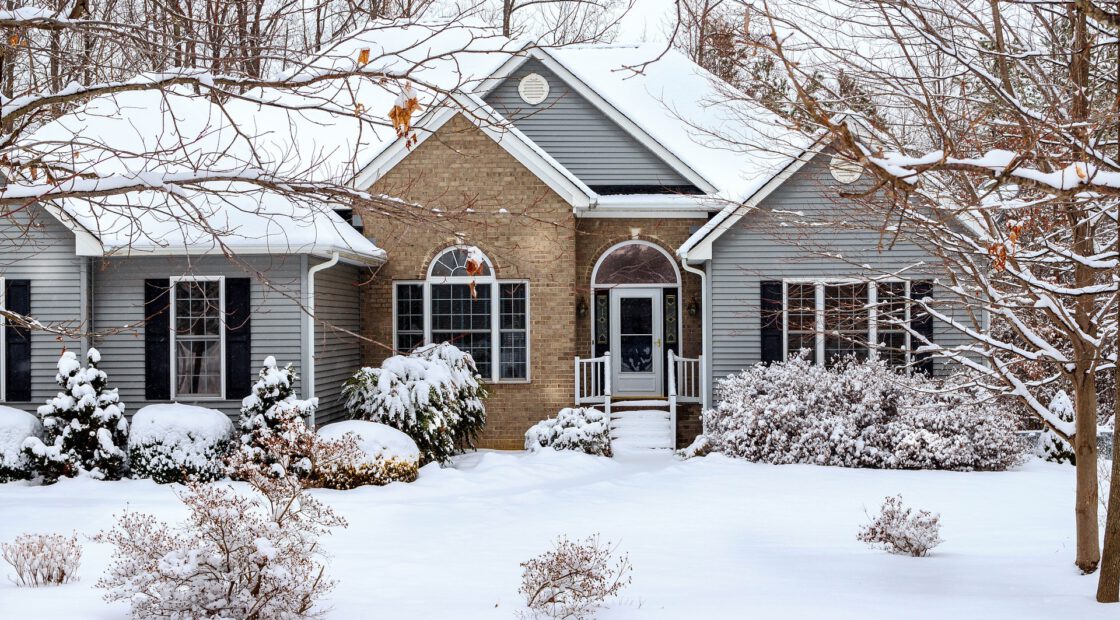 potting soil, garden design, winter gardening tips,