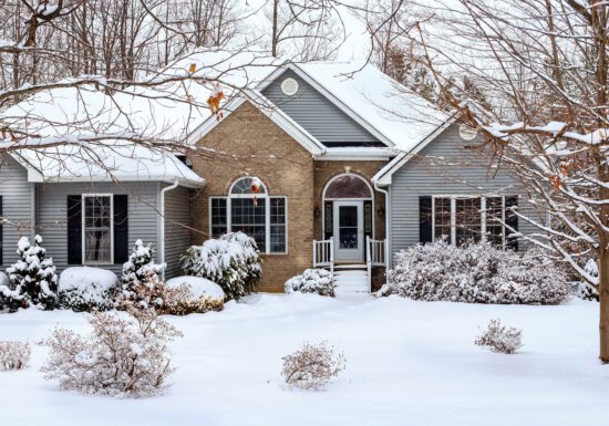 potting soil, garden design, winter gardening tips,