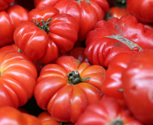 4425665-beefsteak-tomatoSmall-cropped