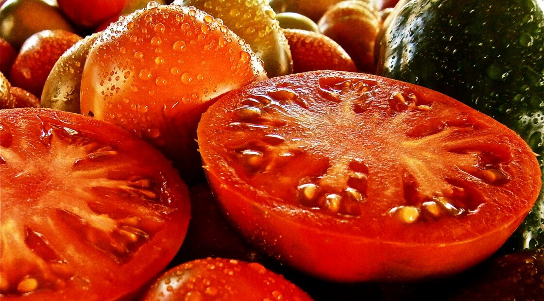 yomato-tone, growing tomatoes, organic gardening