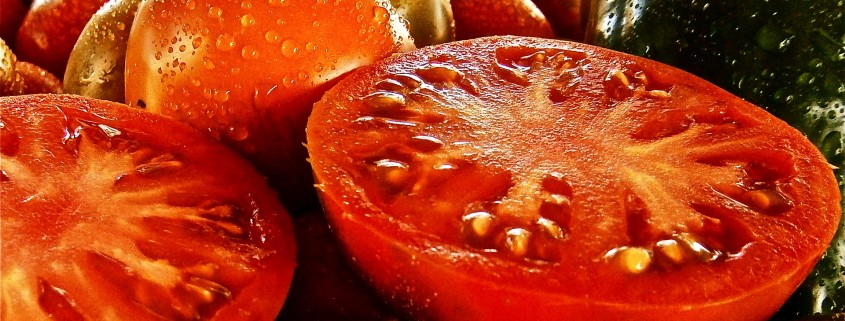 yomato-tone, growing tomatoes, organic gardening