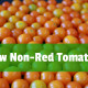 organic tomatoes