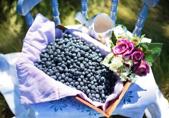 Espoma soil acidifier, Holly-tone, growing blueberries
