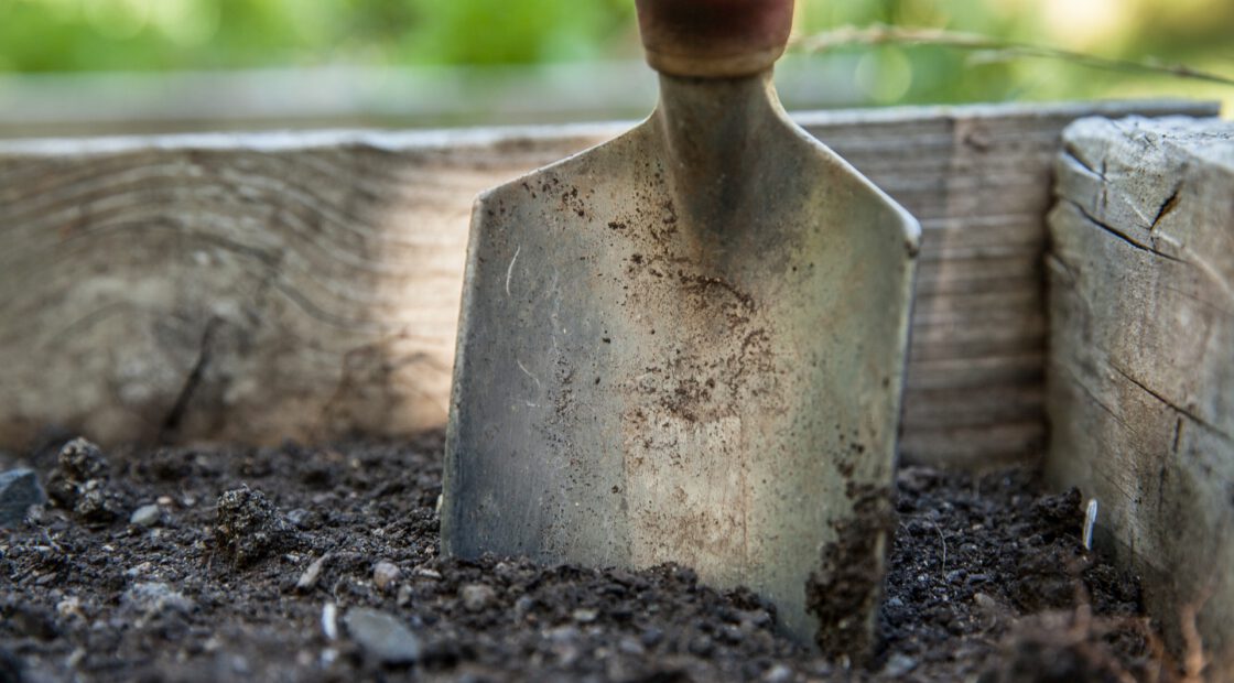 Bio-tone starter, potting soil, organic fertilizer