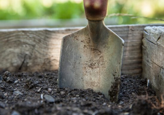 Bio-tone starter, potting soil, organic fertilizer