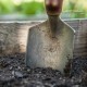 Bio-tone starter, potting soil, organic fertilizer