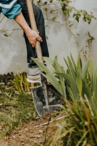 man digging a hole in a garden 