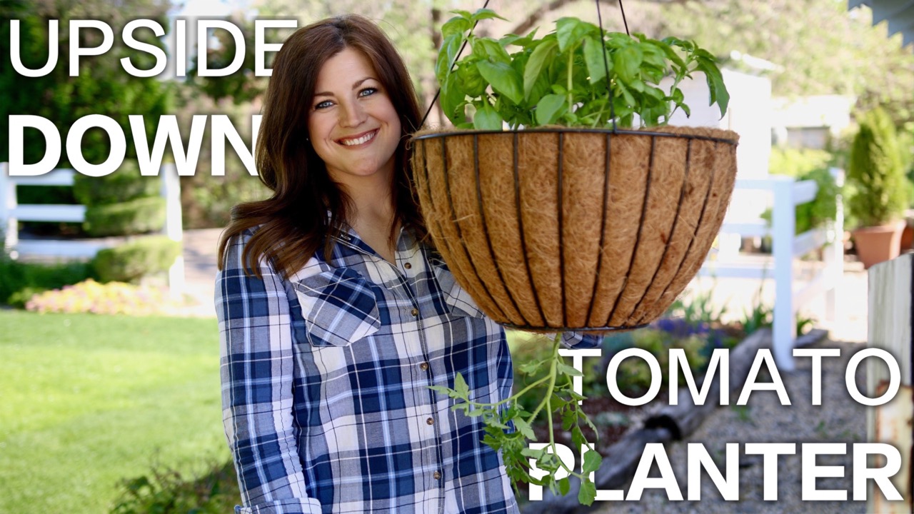 How to Create an Upside Down Tomato Planter Espoma