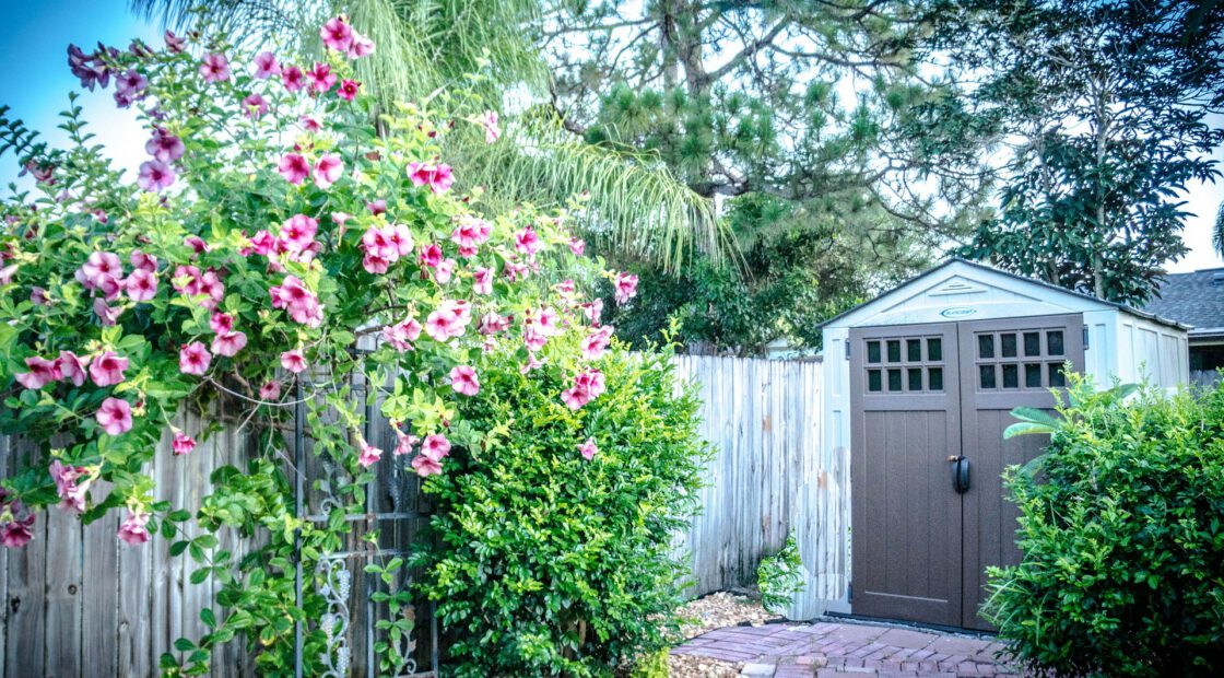 liquid fertilizer, potting soil, container gardening