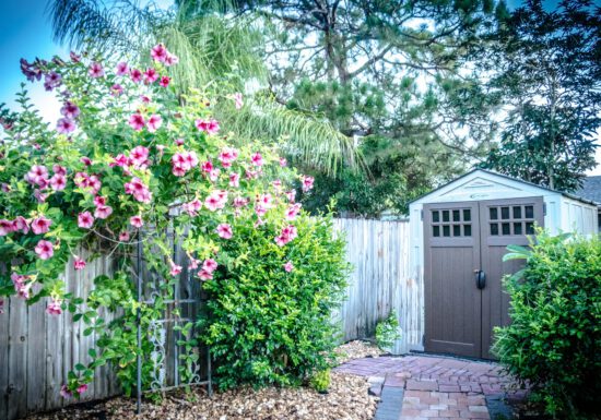 liquid fertilizer, potting soil, container gardening