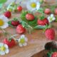 Strawberries are a favorite summer fruit. Yet store-bought berries can’t come near the intense and fresh flavor of those picked right off the vine from your very own garden.