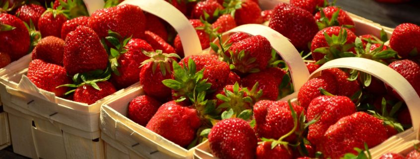 Strawberry-Sweet Recipes: From Your Garden to Your Plate