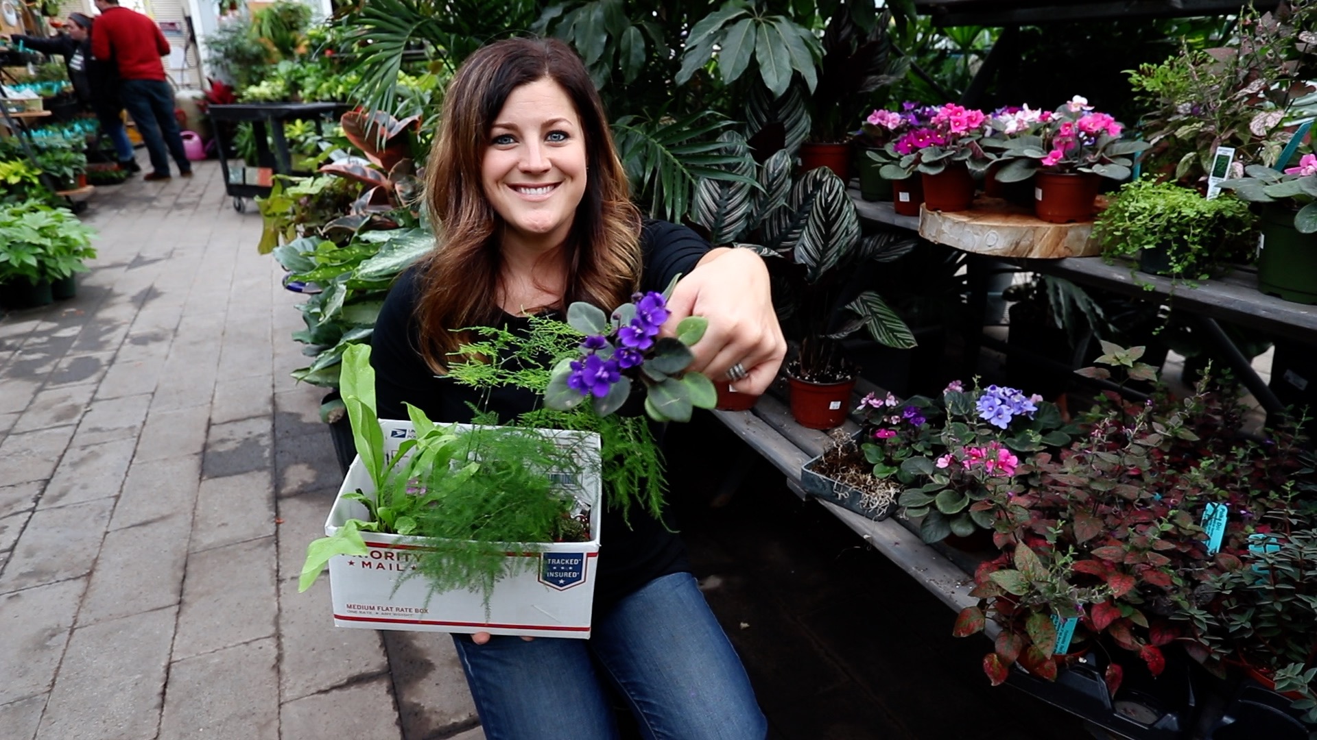 Indoor Planter Inspiration with Garden Answer  Espoma