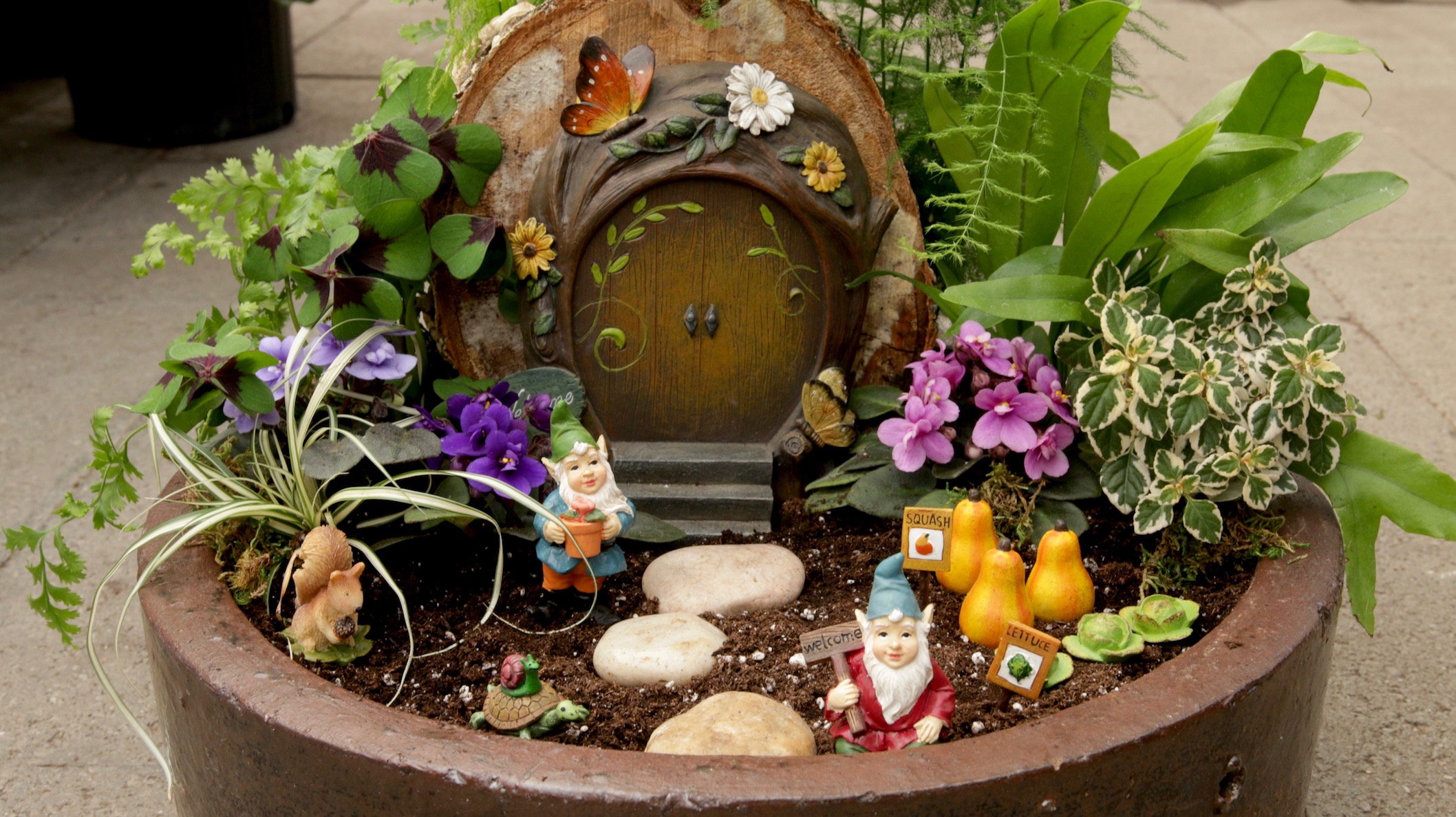 How to Create a Mini Gnome Garden with Garden Answer Espoma