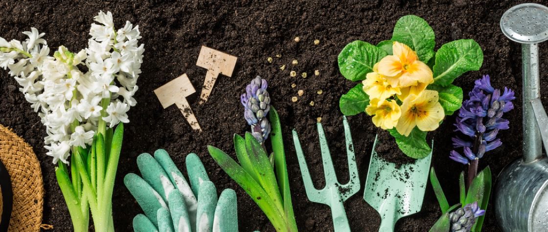 seed starting, sowing seeds, shovels, gloves, flowers