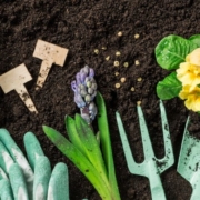 seed starting, sowing seeds, shovels, gloves, flowers