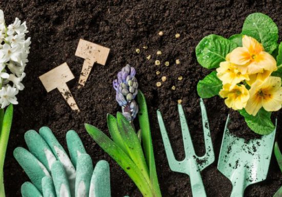 seed starting, sowing seeds, shovels, gloves, flowers