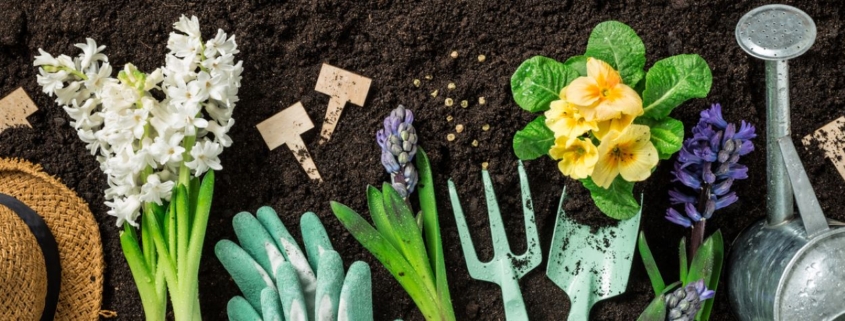 seed starting, sowing seeds, shovels, gloves, flowers