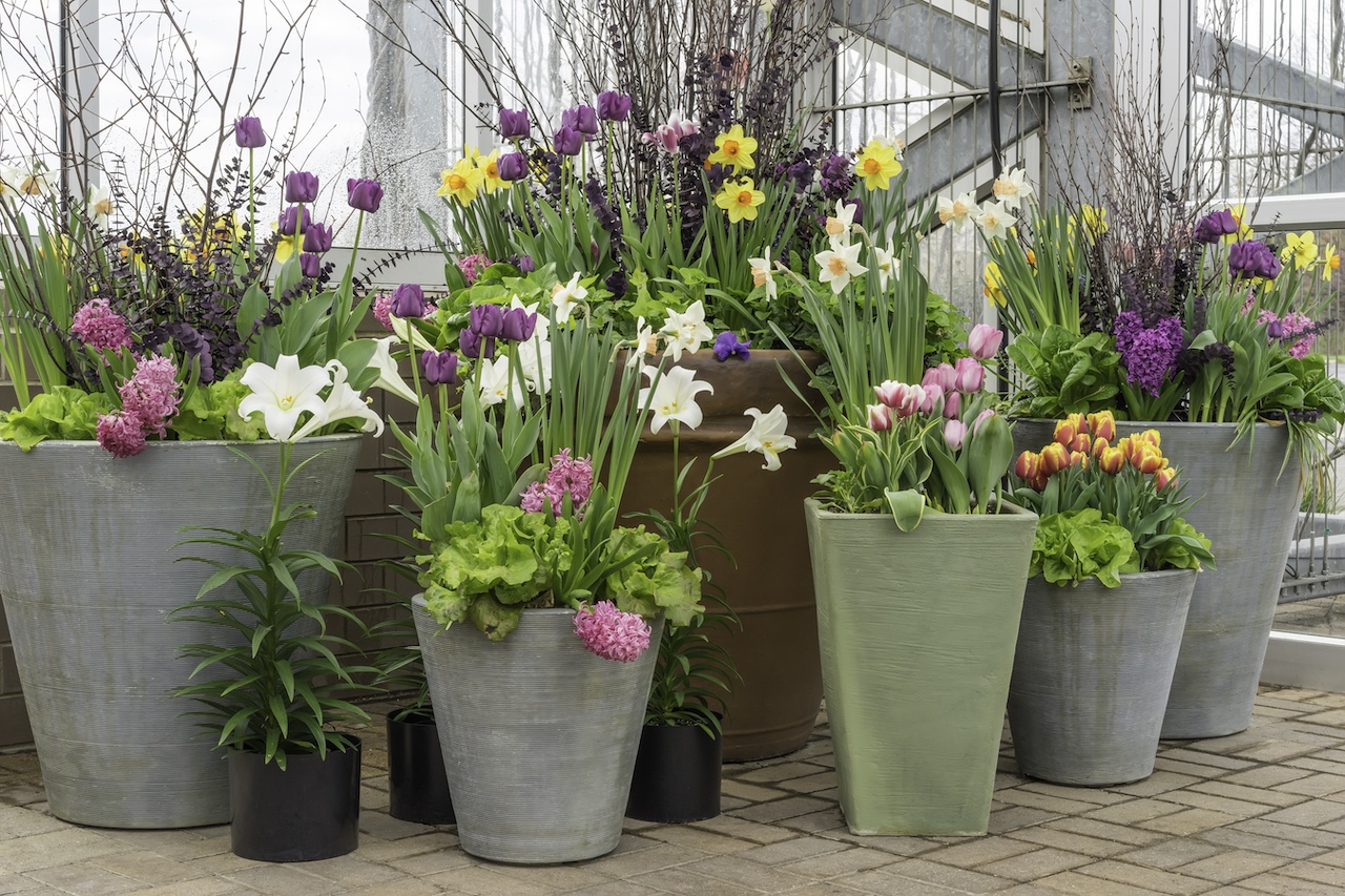 Splendid indoor floral arrangement at botanical garden in spring