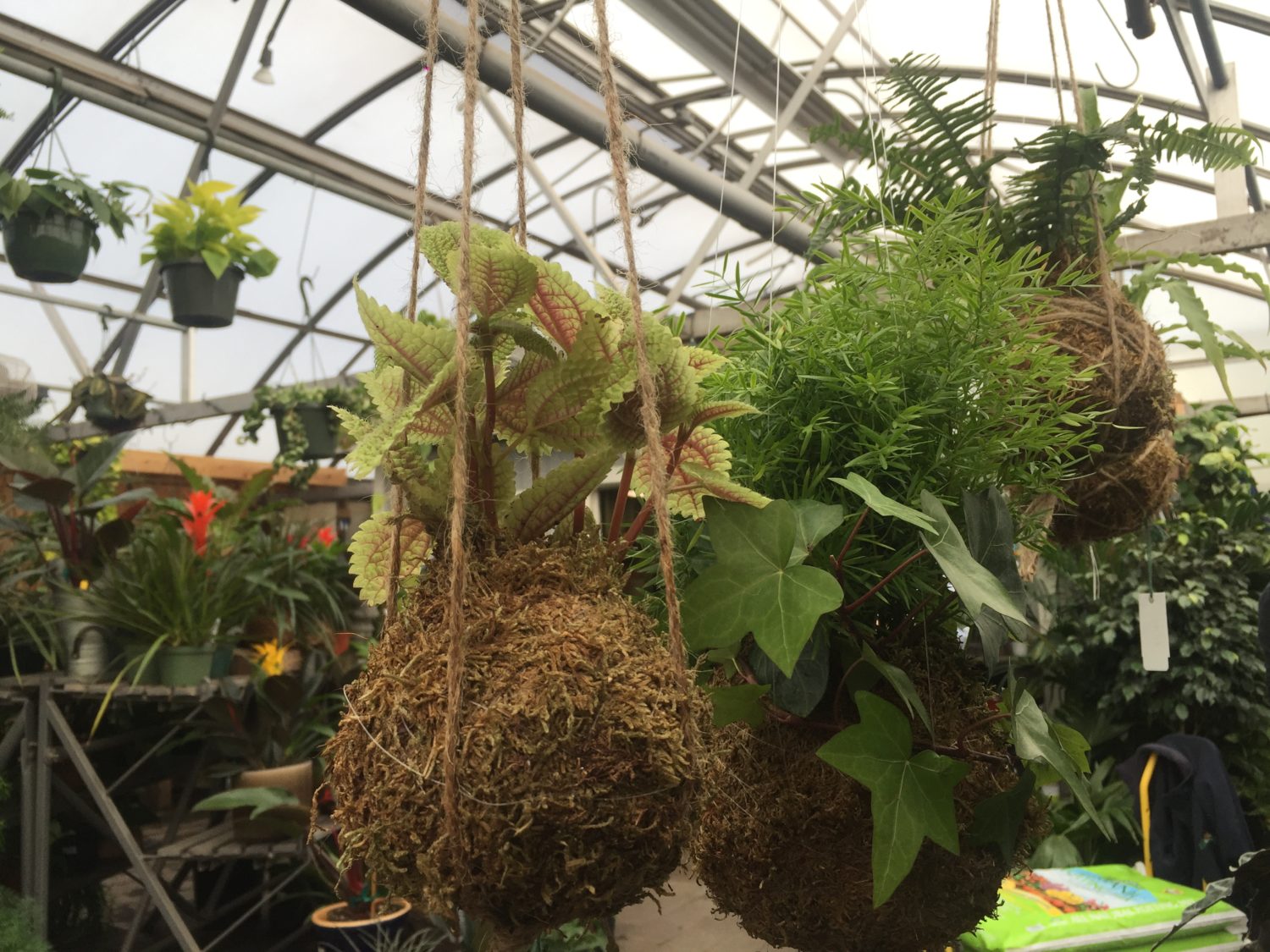 Espoma Espoma Organic AllPurpose Garden Soil Espoma