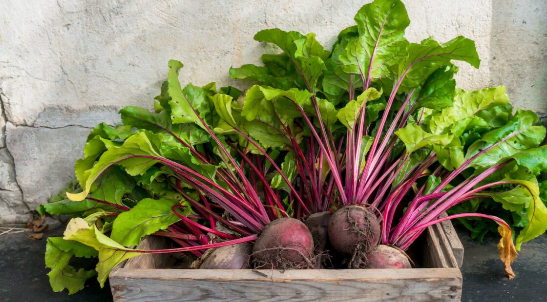 small box of beets