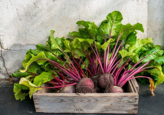 small box of beets