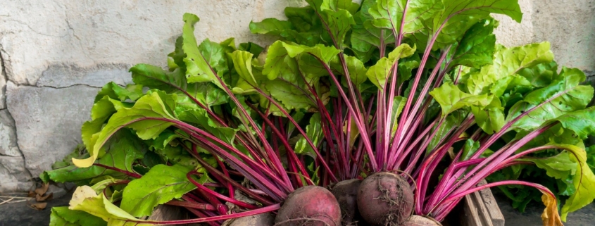 small box of beets