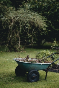 Garden Clean up