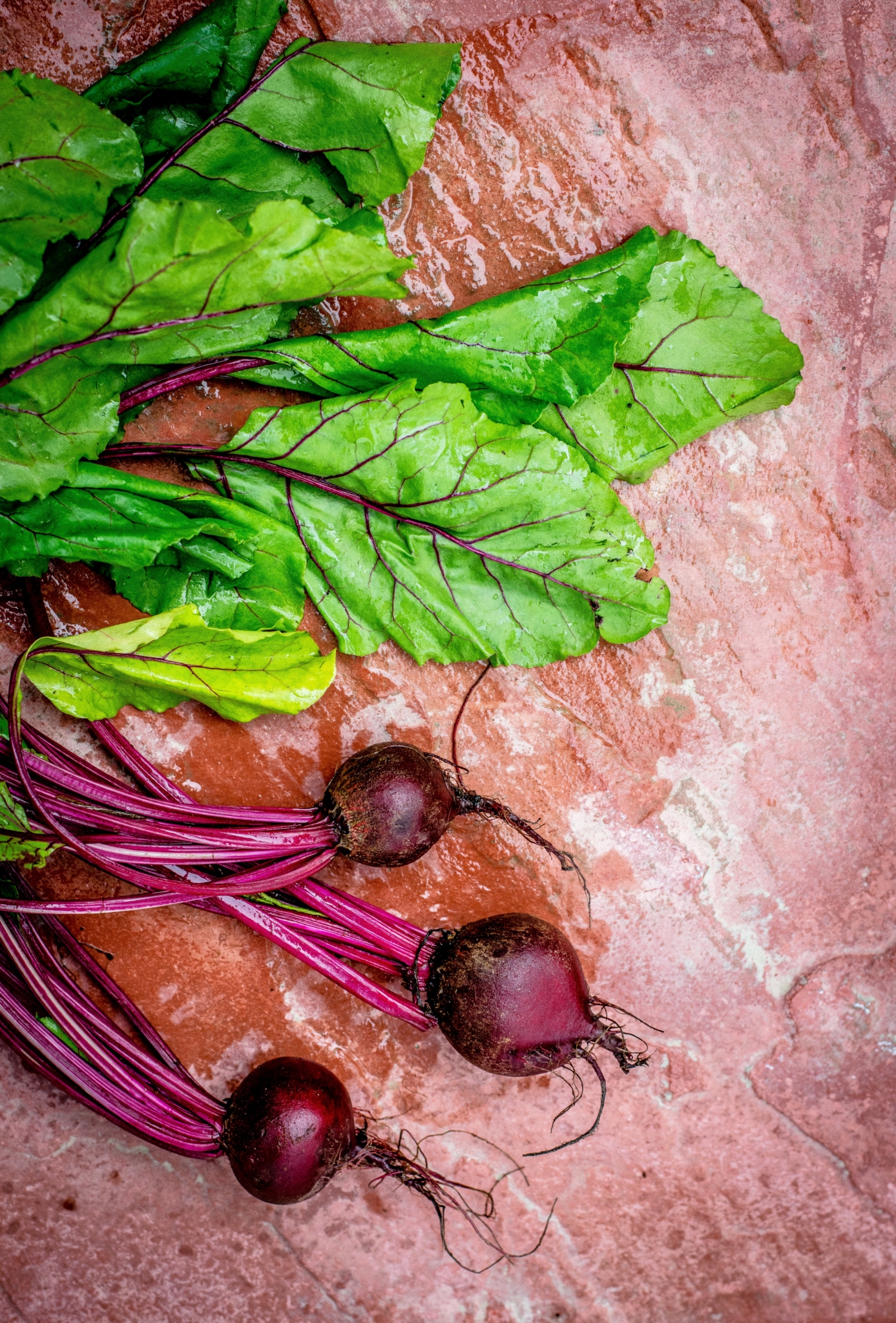 5 Summer Edibles it’s not Too Late to Plant | Espoma Organic